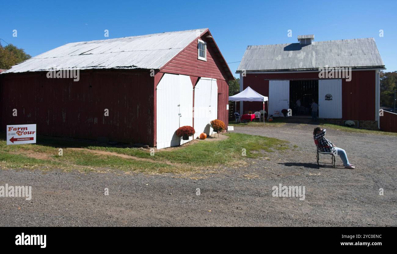 USA: 20. 10. 2024: Die Brookfield Dairy Farm im Loudoun County ist eine familiengeführte Farm mit einer langen und reichen Geschichte im Milchsektor Stockfoto