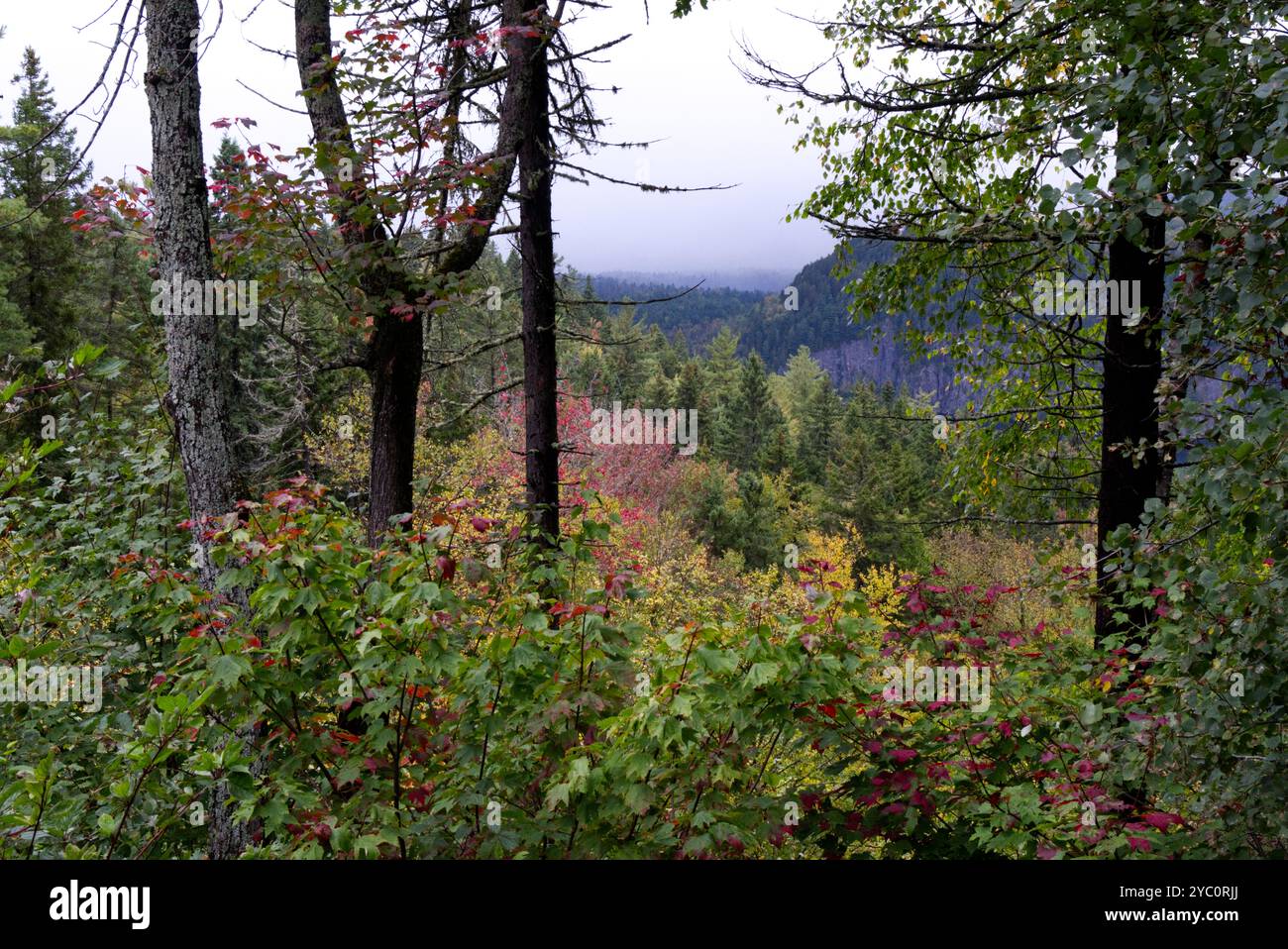 La Mauricie Nationalpark - Vide-Bouteille Stockfoto