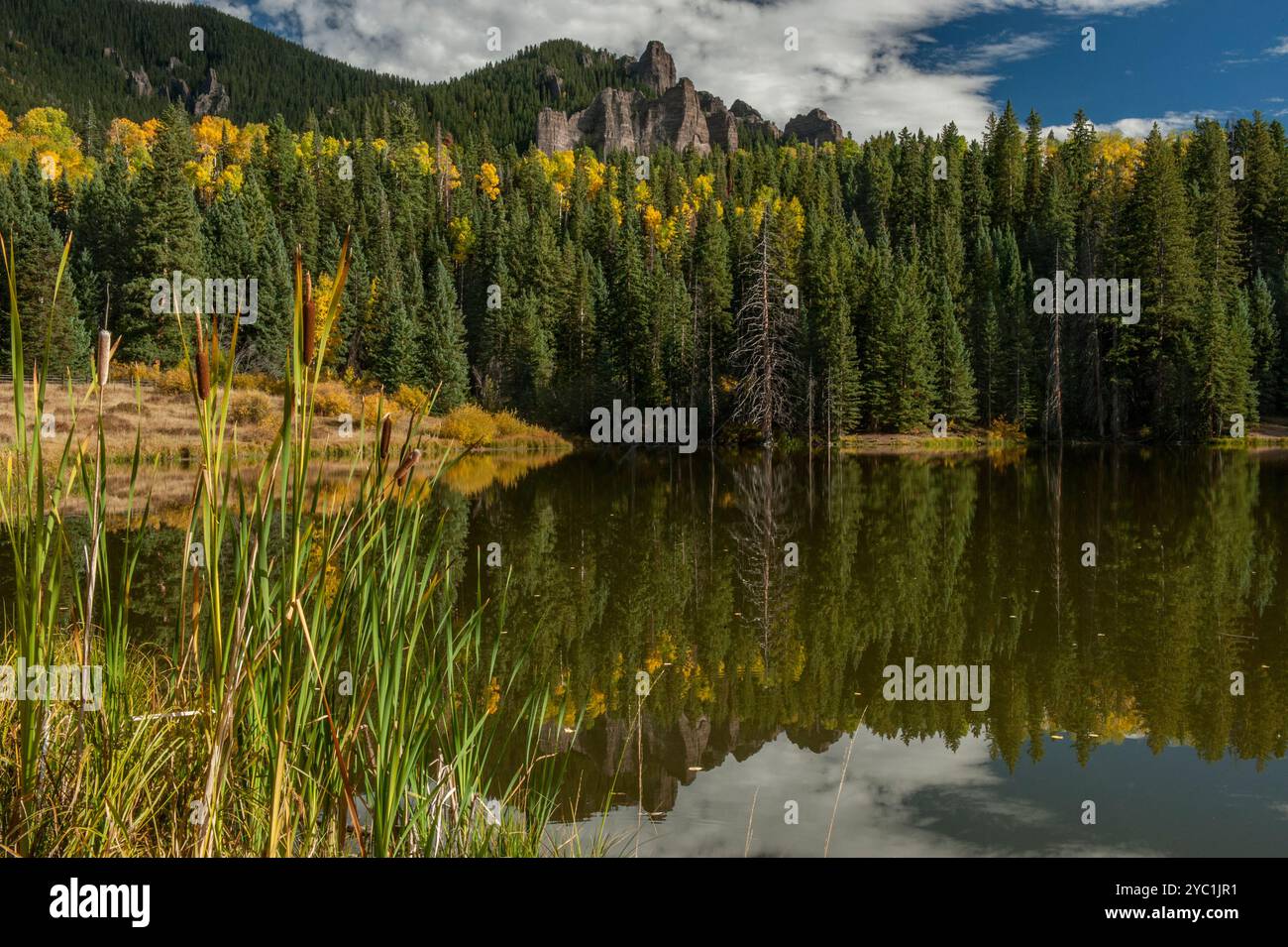 Rowdy Reservior, Espens in Farbe und Klippen aus vulkanischem Tuff. In der Nähe des Silverjack Lake im Gunnison County, Colorado Stockfoto