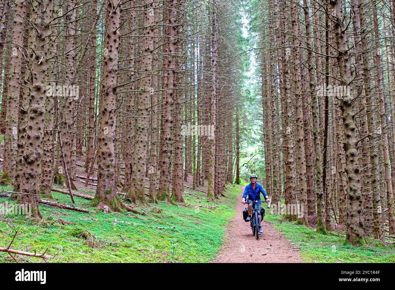 Radfahren auf dem Great Glen Way in der Nähe von Drumnadrochit Stockfoto