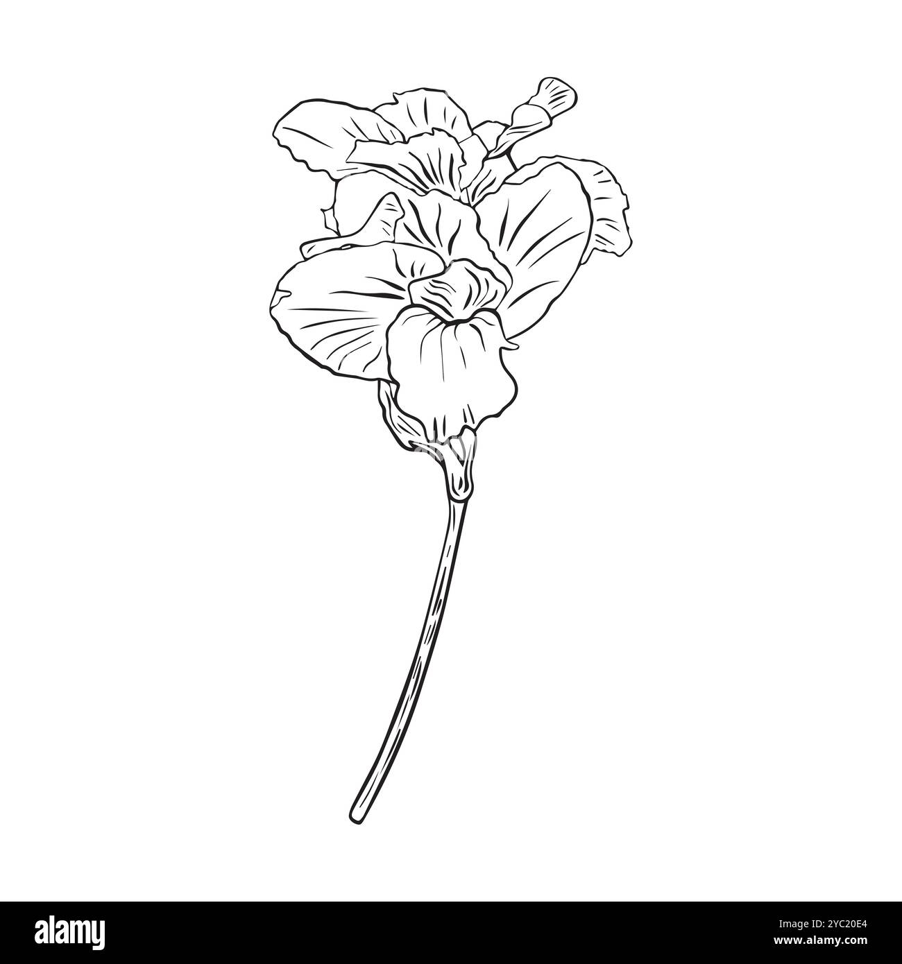 Eine durchgehende Linienzeichnung mit Beauty Fresh Canna for Garden Logo. Dekoratives Cannabislilienblütenkonzept für Postermotive zur Wohnkultur. Modern Stock Vektor