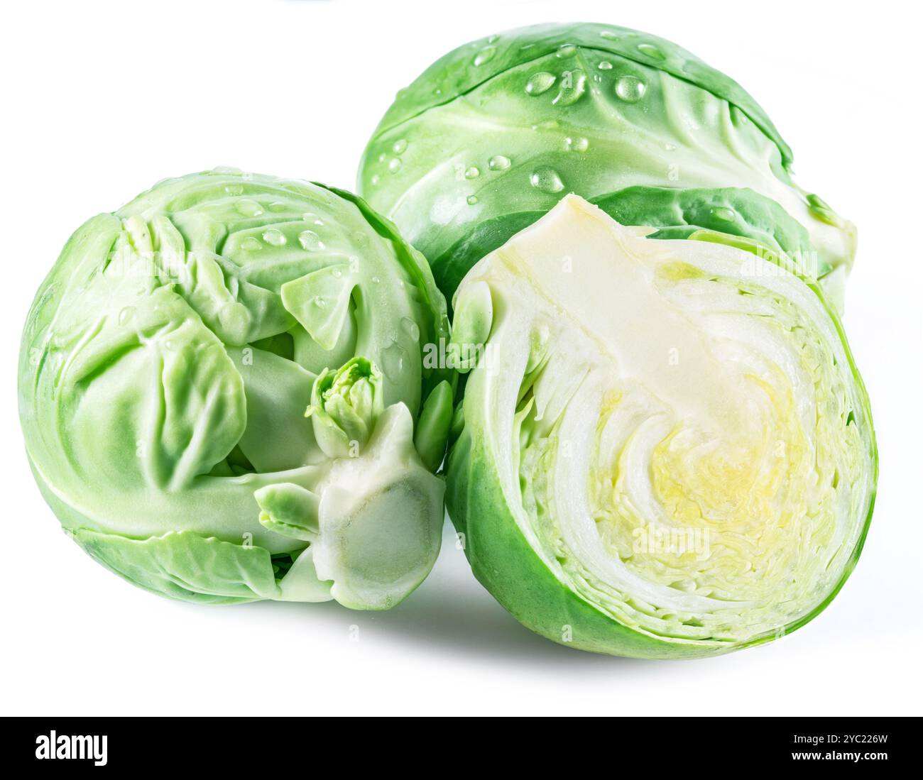 Miniaturkohl von rosenkohl isoliert auf weißem Hintergrund. Stockfoto