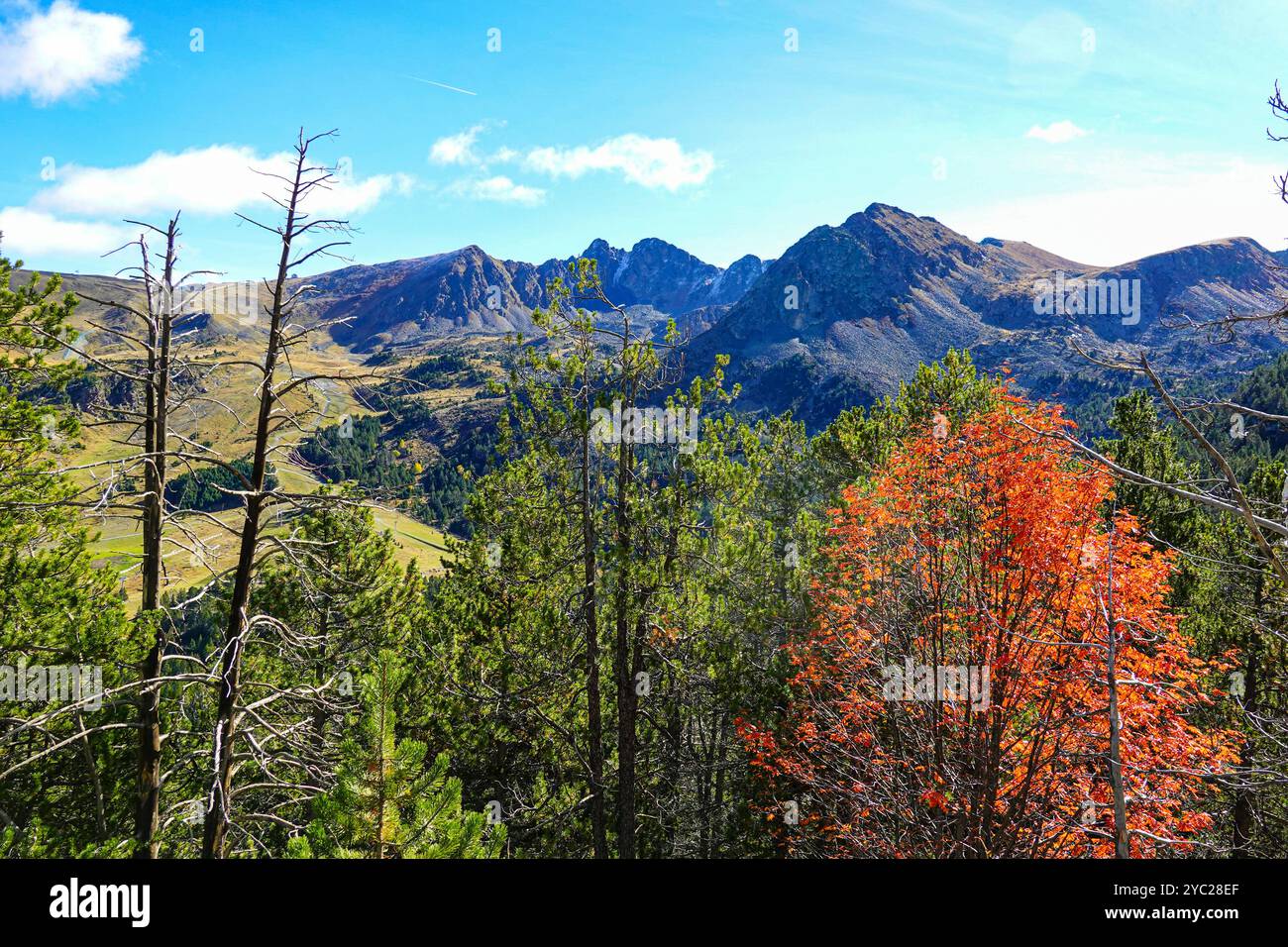 Herbst in Andorra in den Pyrenäen bei Les Bordes d'Envalira Stockfoto