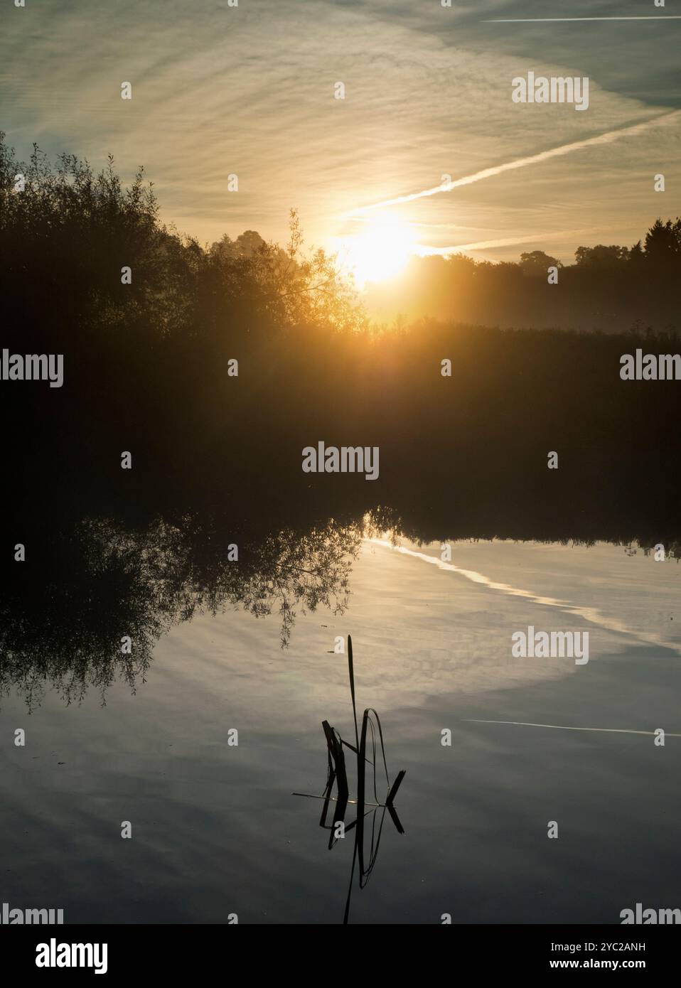 Sonnenaufgang über einem wunderschönen Abschnitt der Themse am Radley Boathouse. Das 1921 gegründete Bootshaus dient seit über einem Jahrhundert Radley College und einheimischen Ruderfreunden. Die Aussicht von hier kann besonders schön sein bei Sonnenaufgang - wie hier. Stockfoto