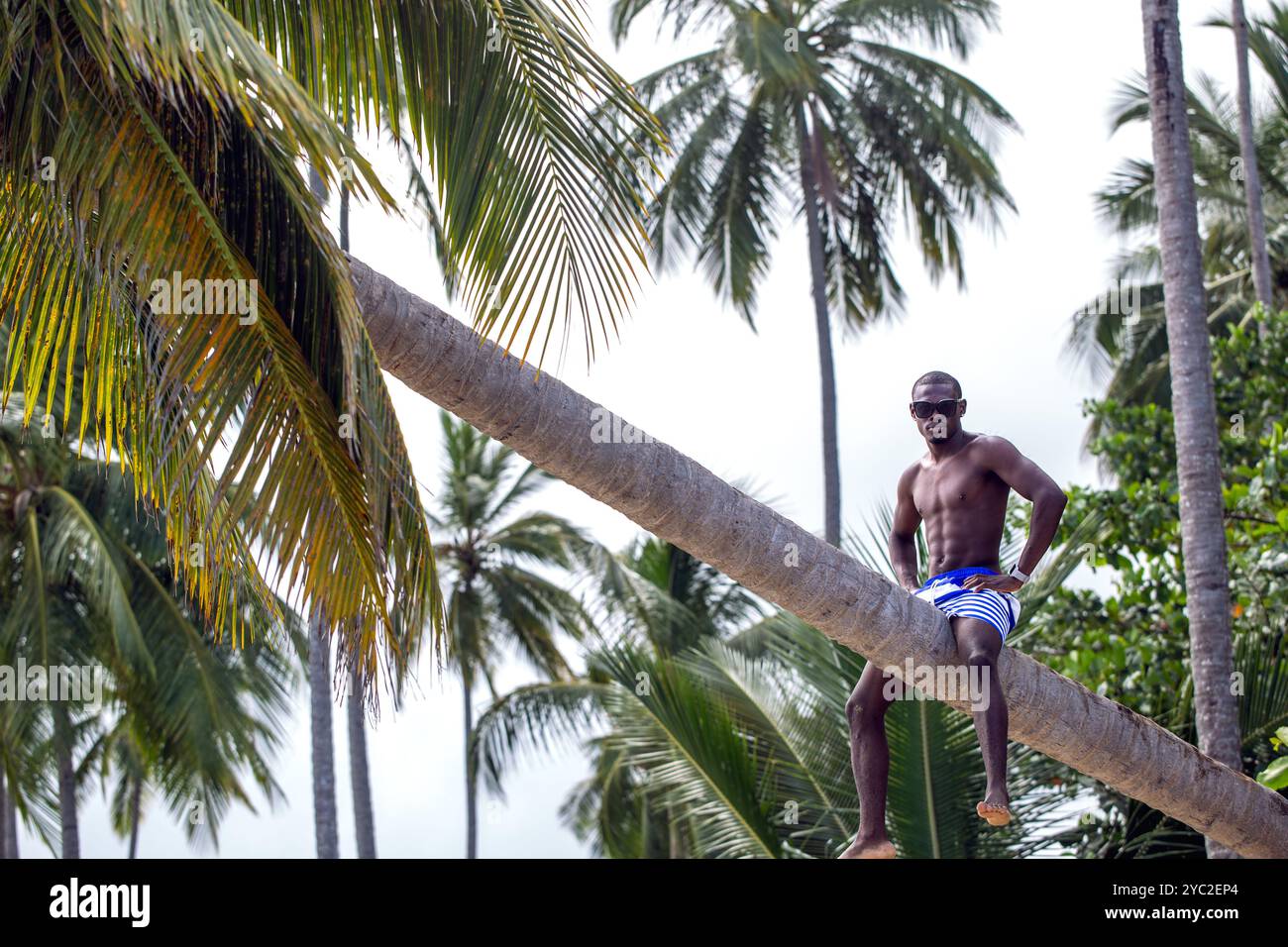 Mann, der auf einer lehnenden Palme am tropischen Strand sitzt Stockfoto