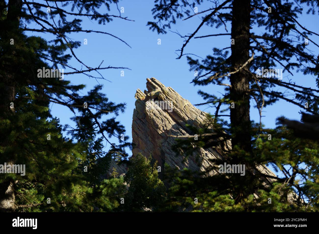 Berg durch Ein Loch in den Bäumen Stockfoto