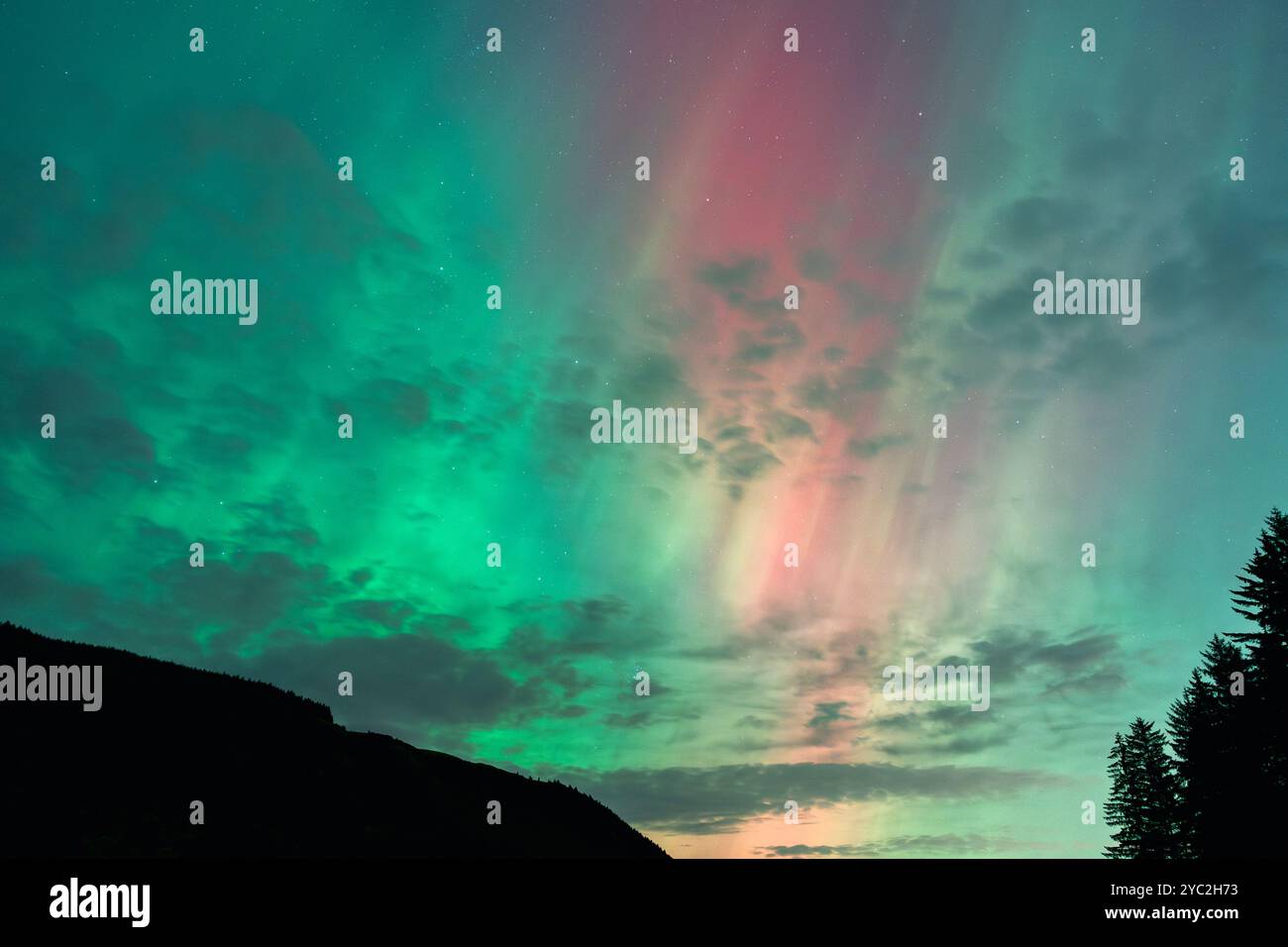 Grüne und orangefarbene Aurora Borealis Stockfoto