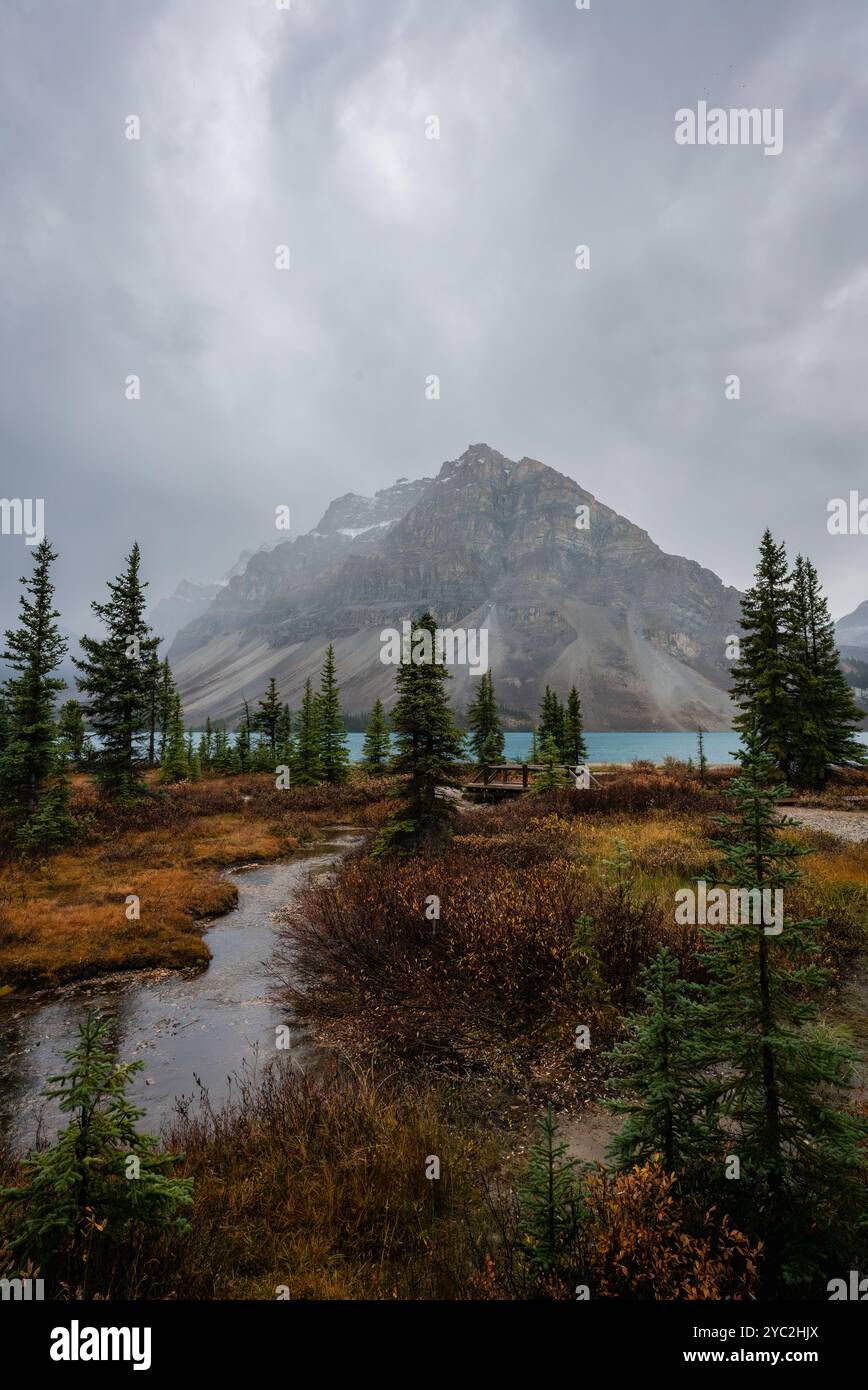 Blick auf die Berge des Bow Lake mit Fluss, Bäume im Vordergrund an bewölkten Tagen. Stockfoto