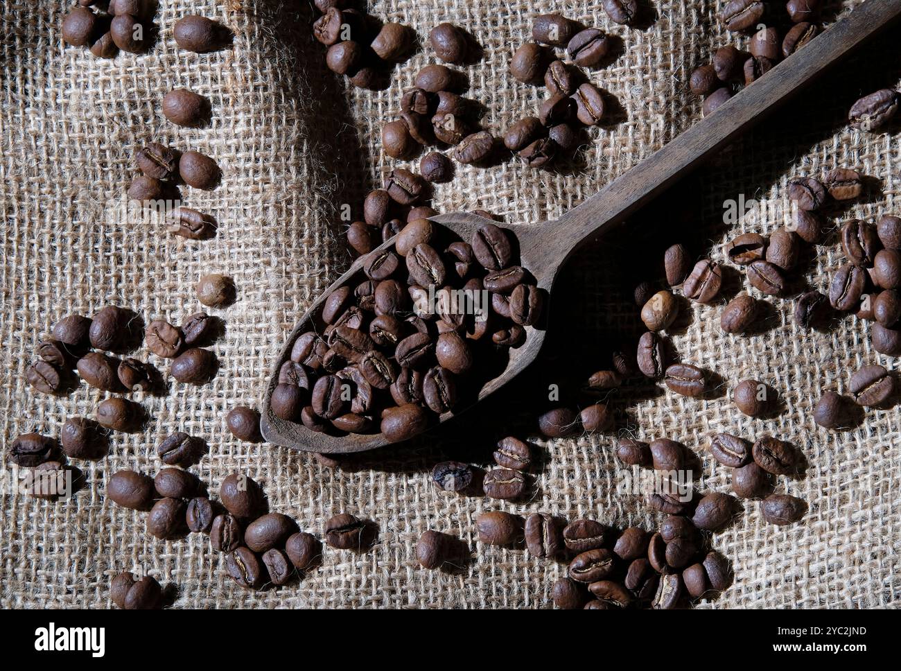 Kaffeebohnen im Holzlöffel auf Sacktuch Hintergrund Stockfoto