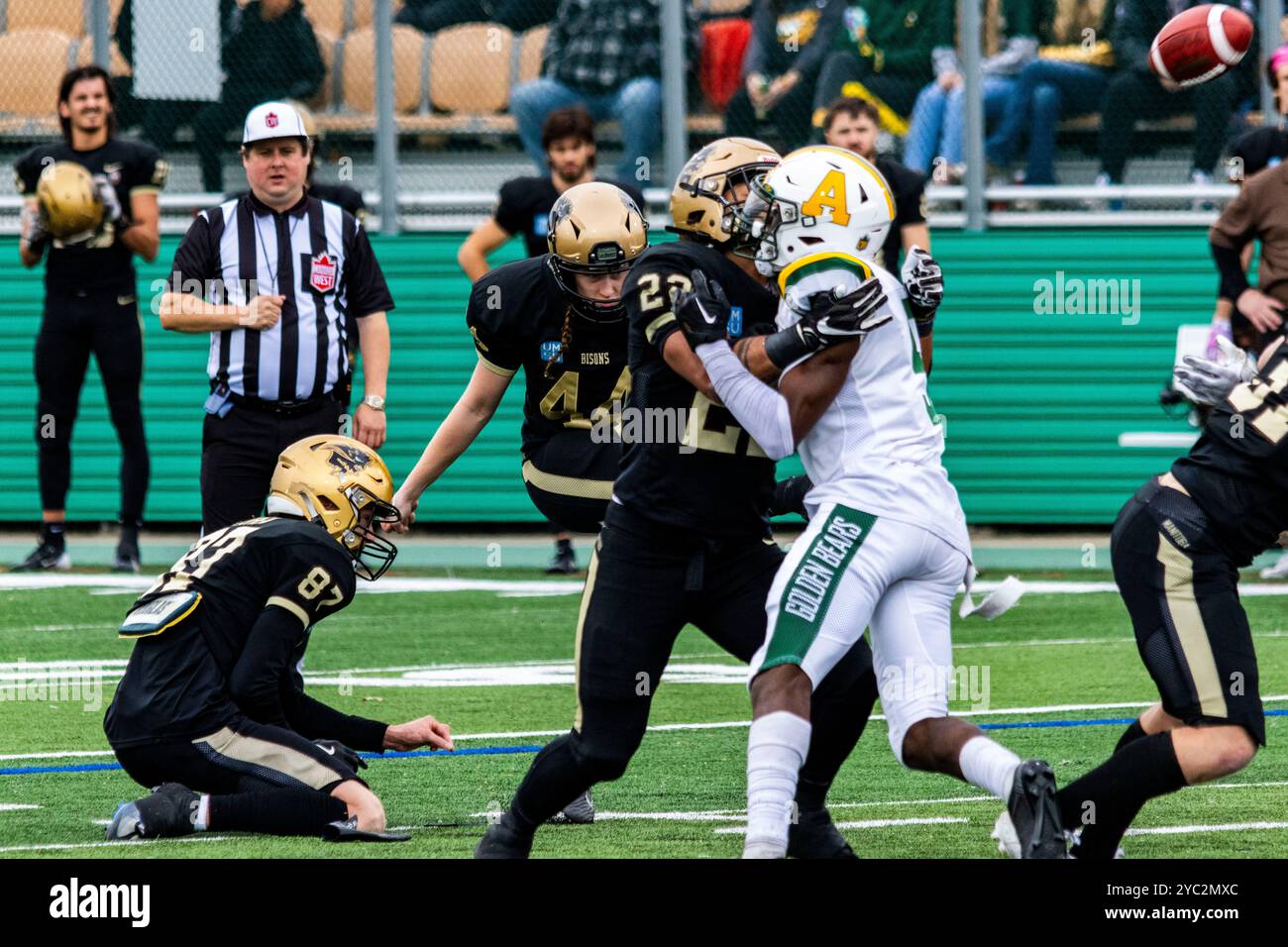 Edmonton, Kanada. Oktober 2024. Die University of Manitoba Bisons setzt Maya Turnerkicks ein Tor gegen die Golden Bears der University of Alberta. (L to R - Michael O'Shea (87), Maya Turner (44), Austin Balan (22), Charlie de Land (5) University of Alberta Golden Bears 37 - 38 University of Manitoba Bisons (Foto: Ron Palmer/SOPA Images/SIPA USA) Credit: SIPA USA/Alamy Live News Stockfoto