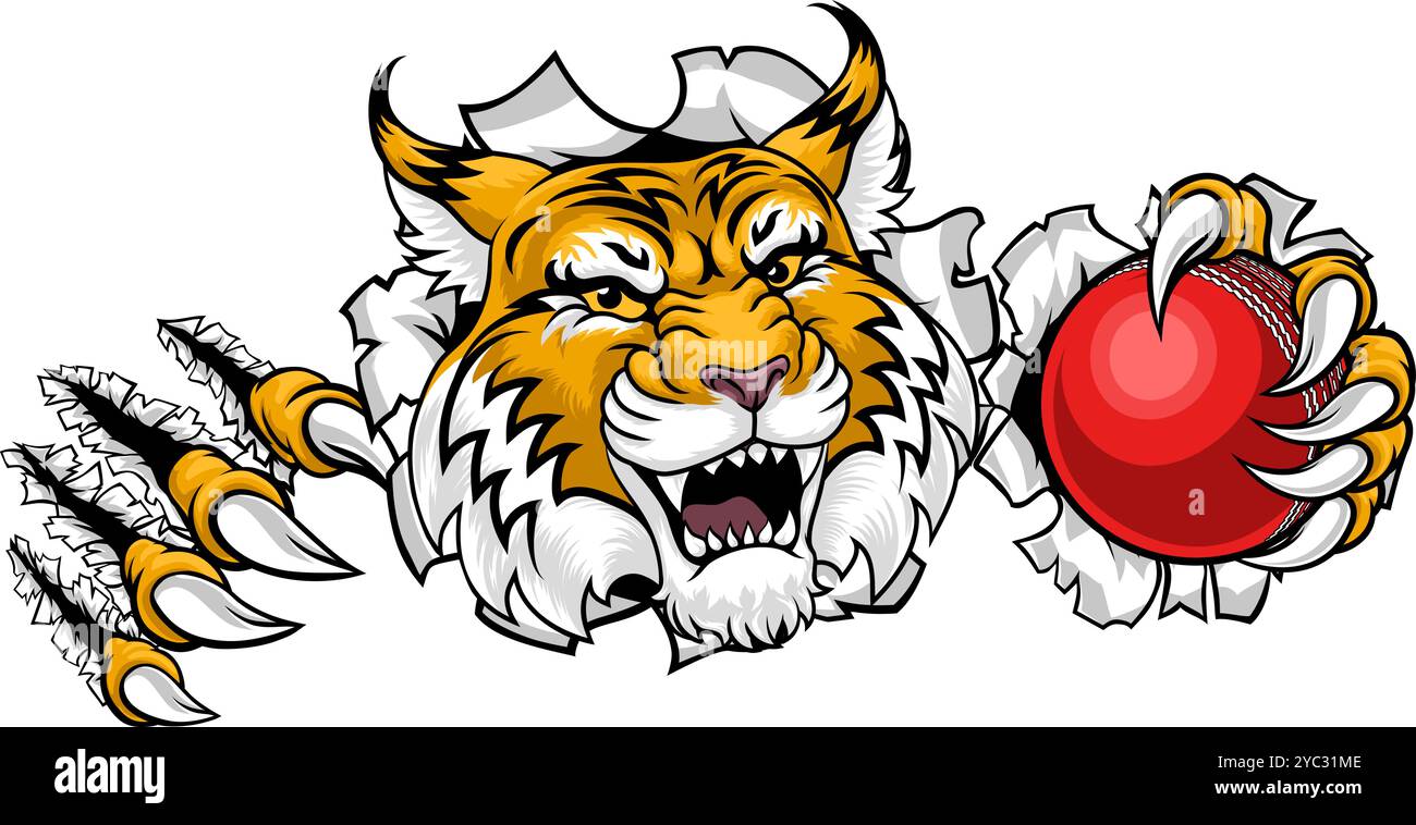 Wildcat Bobcat Cricket Ball Tier Team Maskottchen Stock Vektor