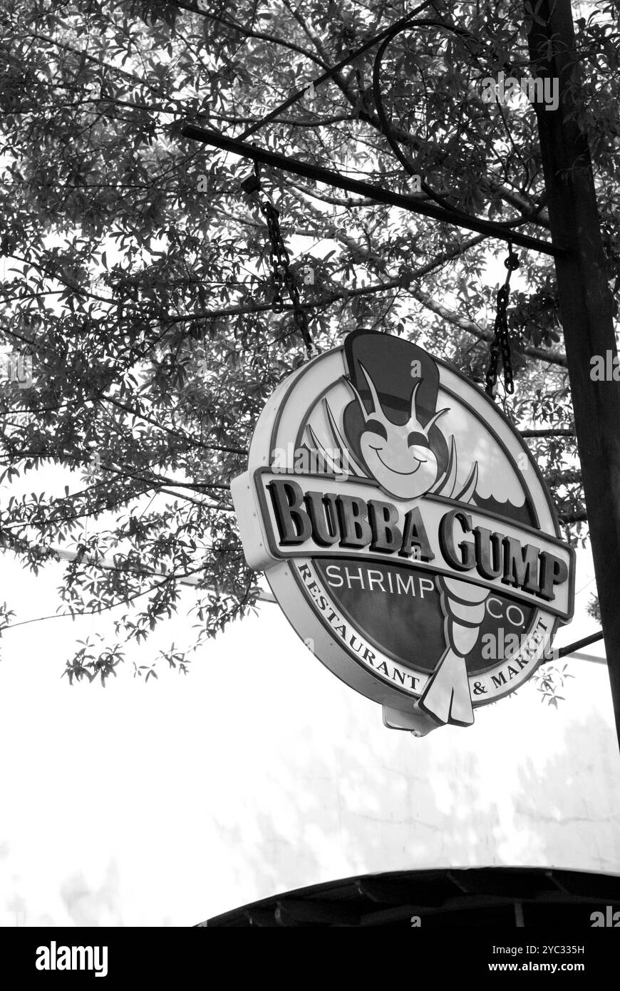 Bubba Gump Shrimp Co. Restaurantschild an der Market Street in Charleston, South Carolina, USA. Stockfoto