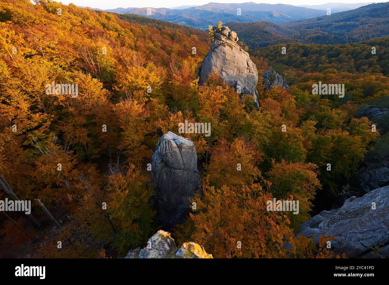 Blick aus der Vogelperspektive auf zerklüftete Felsformationen, umgeben von einem Meer aus lebhaftem Herbstlaub. Goldene und orangene Blätter im Kontrast zu grauen Felsen unter klarem Himmel. Dovbush Rocks, Karpaten, Ukraine. Stockfoto