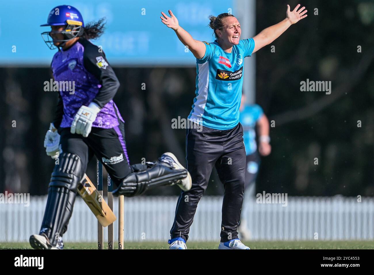 Sydney, Australien. Oktober 2024. Nicola Hancock von Brisbane Heat bittet um einen Auslauf während des T20 Spring Challenge Final Matches zwischen Brisbane Heat und Hobart Hurricanes in Cricket Central. Hobart Hurricanes gewann die erste Ausgabe der T20 Spring Challenge, ein neues inländisches Cricket-Turnier für Frauen im australischen Cricket, indem er Brisbane Heat im letzten Ball des Spiels mit 5 Wickets besiegte. Brisbane Hitze: 133/9, Hobart Hurricanes: 134/5. Quelle: SOPA Images Limited/Alamy Live News Stockfoto
