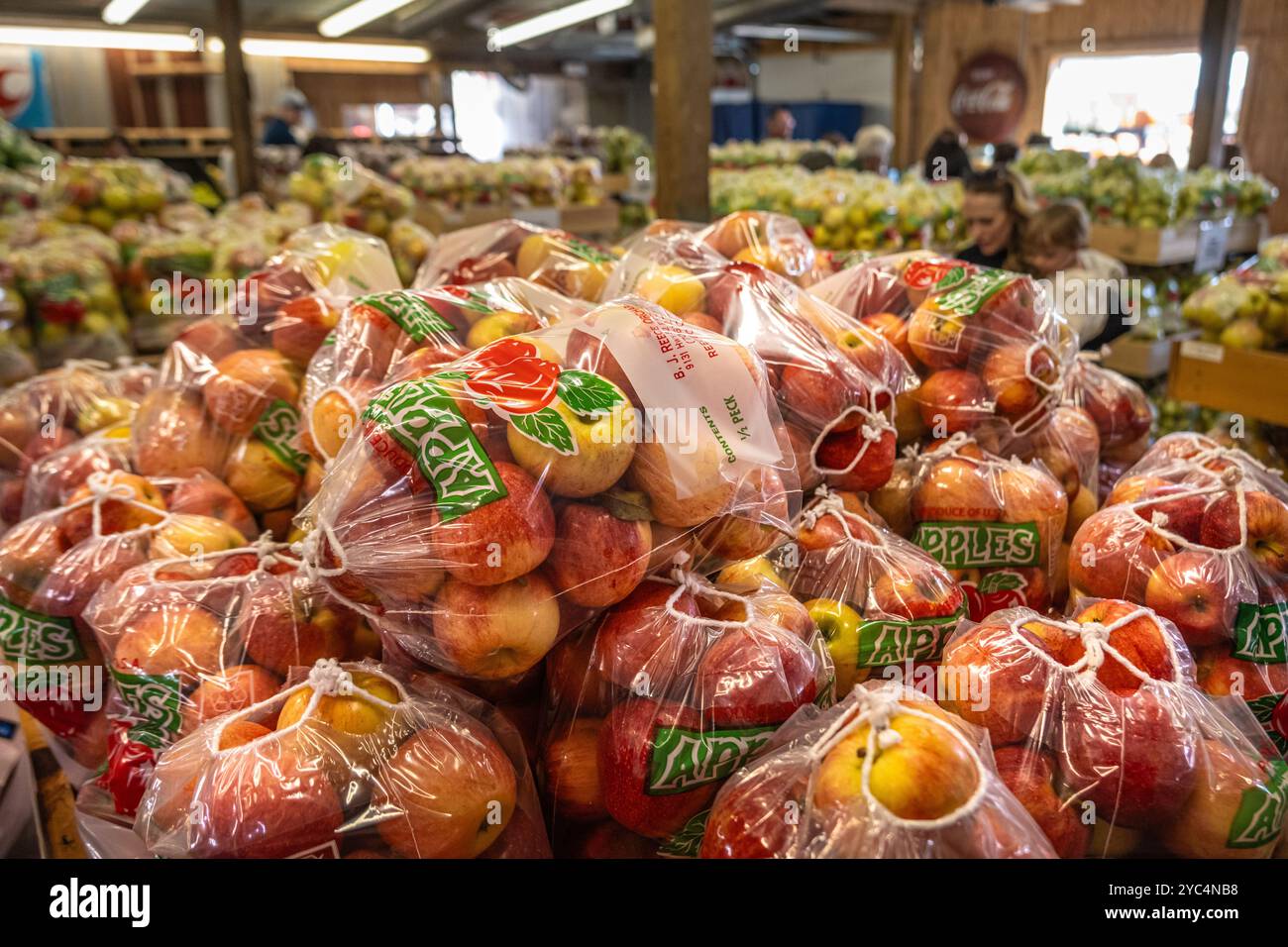 Frisch geerntete Äpfel bei B.J. Reece Orchards in Ellijay, Georgia. (USA) Stockfoto