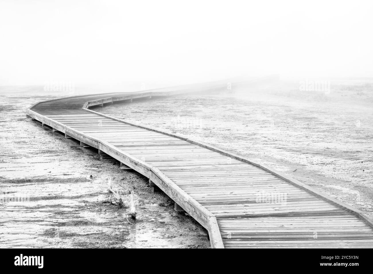 WY05161-00-BW....Wyoming - Weg mit Nebel und Nebel am Biscuit Basin, Upper Geyser Basin, Yellowstone National Park. Stockfoto