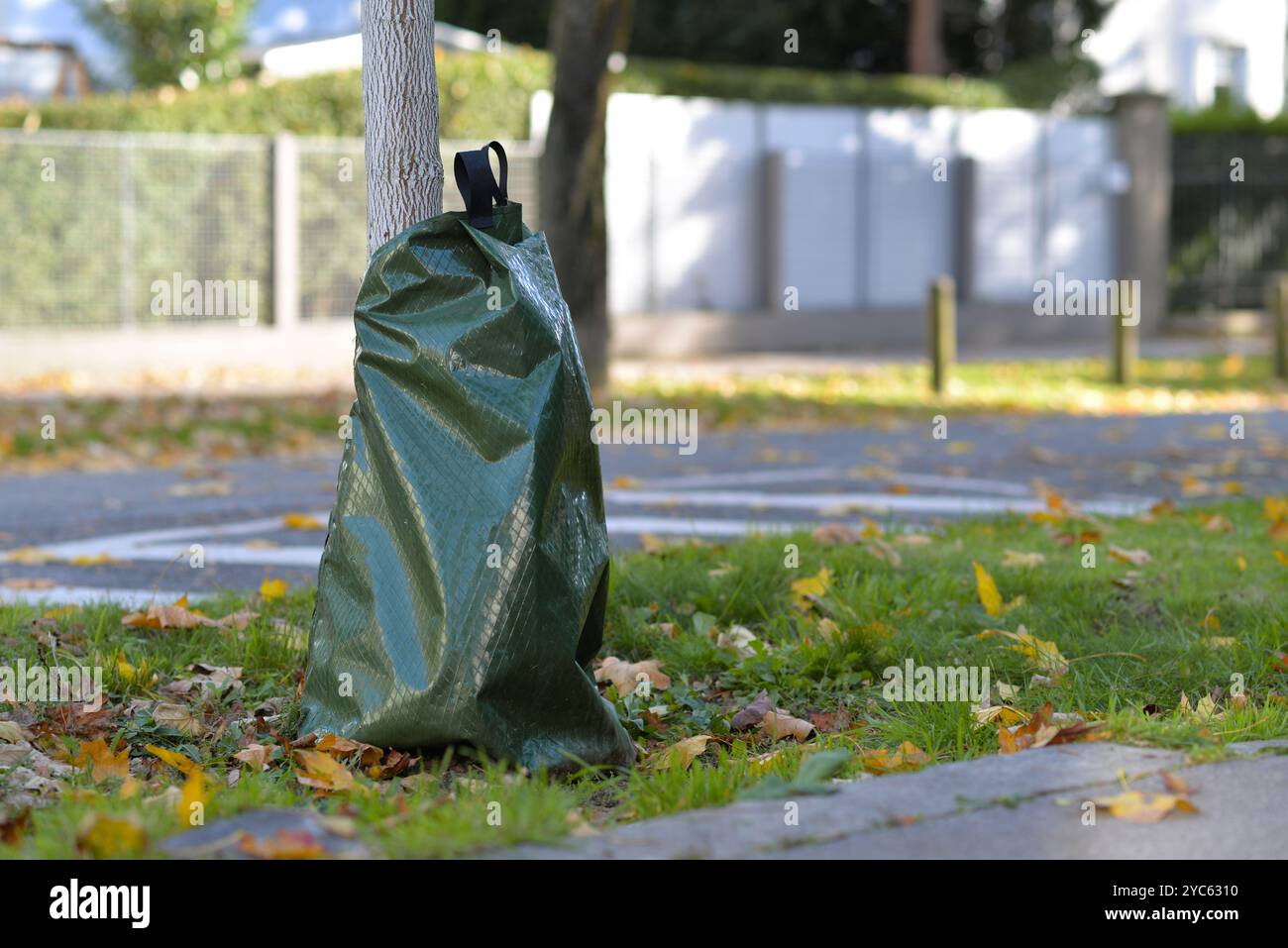 Eine Tasche zum Gießen von Bäumen. Spezielles Tropfbewässerungssystem. Geräte für Garten- und Landwirtschaftsbetriebe im Freien. Stockfoto