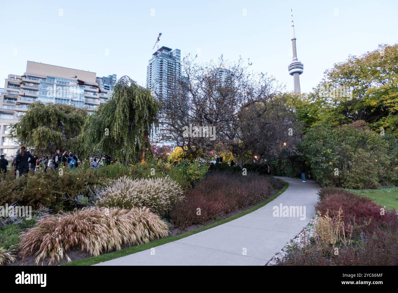 Der Toronto Music Garden ist ein urbaner Park, der von Bachs Musik inspiriert ist, mit gewundenen Wegen und vielfältigen Pflanzen. Stockfoto