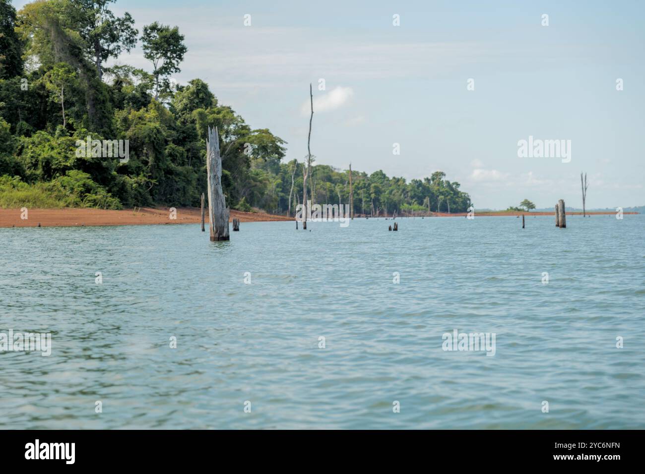 Ein Blick in die Ruhe des Van Blommenstijn Sees, eingerahmt von toten Bäumen und felsigen Ufern. Stockfoto