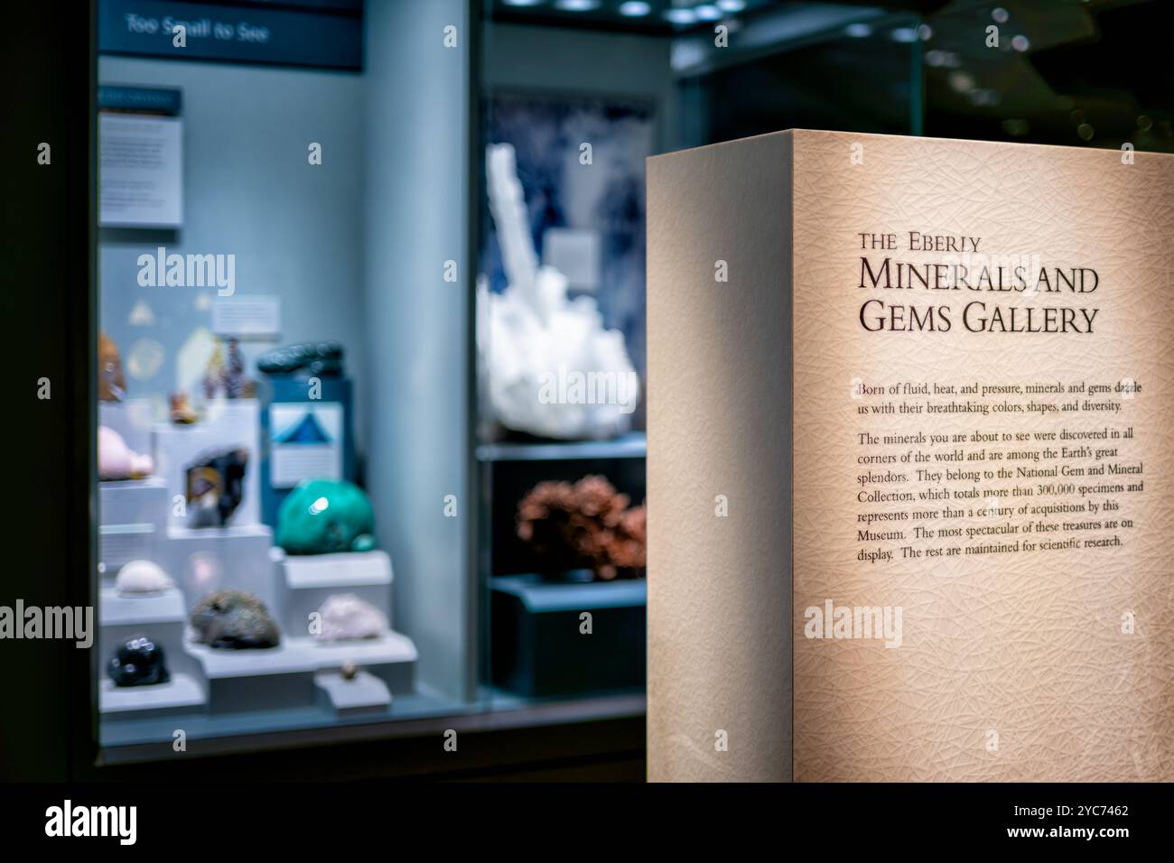 Eberly Minerals and Gems Gallery Washington DC // WASHINGTON DC – die einführende Ausstellung zur Eberly Minerals and Gems Gallery zeigt den Umfang der National Gem and Mineral Collection, die über 300.000 Exemplare umfasst, die in mehr als einem Jahrhundert gesammelt wurden. Dieser Text führt die Besucher in die Entstehungsprozesse von Mineralien und Edelsteinen ein und hebt gleichzeitig den doppelten Zweck der Sammlung sowohl für die öffentliche Ausstellung als auch für die wissenschaftliche Forschung hervor. Stockfoto