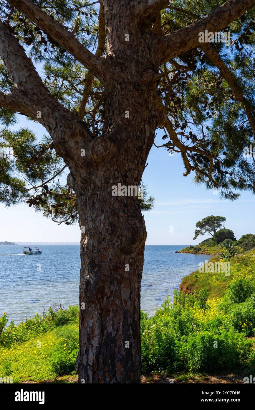 Motya Island, Marsala, Trapani, Sizilien, Italien Stockfoto