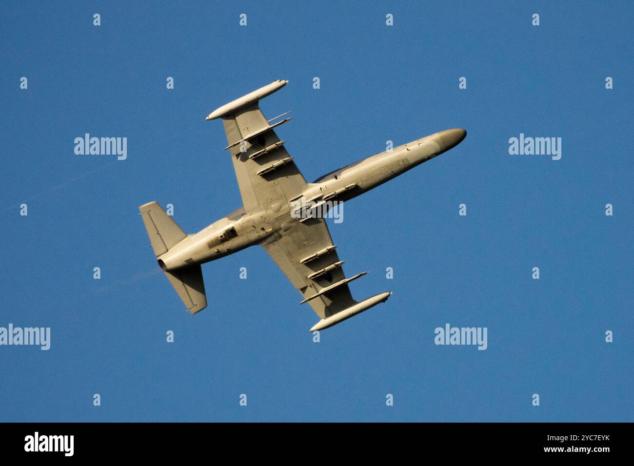 Tschechische Luftwaffe L-159A ALCA Stockfoto