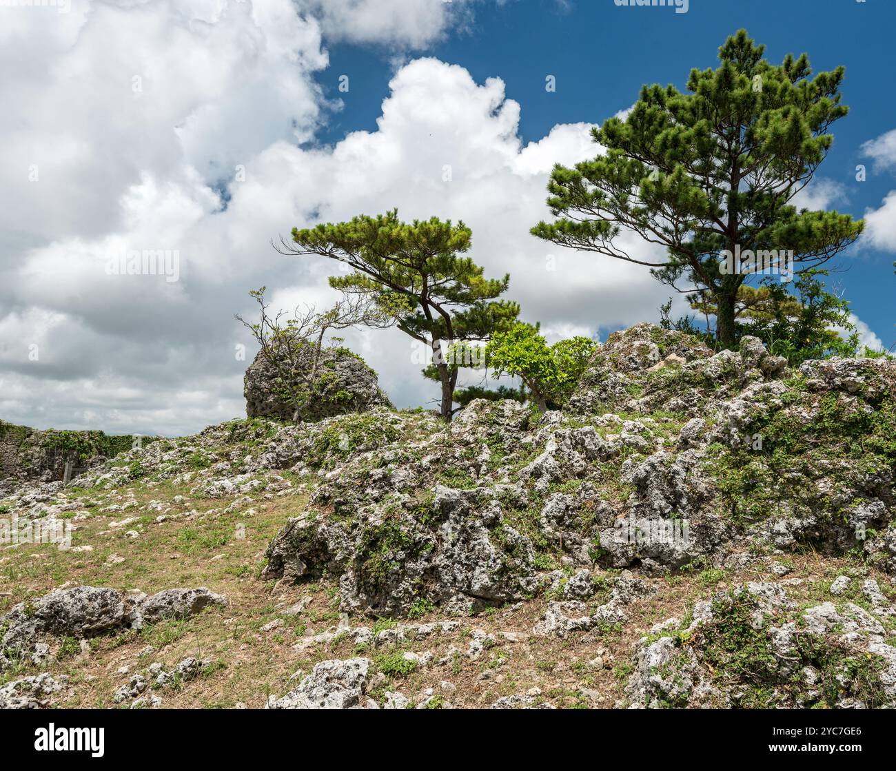 Zerklüfteter Hügel in der Nähe von Urasoe Castle in Okinawa, Japan, Schauplatz der Schlacht am Hasksaw Ridge Stockfoto