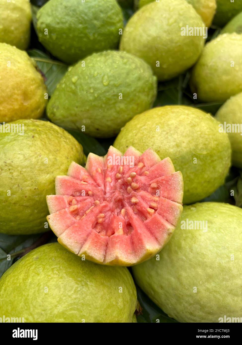 Frische Guavas zum Verkauf auf einem Straßenmarkt in Brasilien. Stockfoto