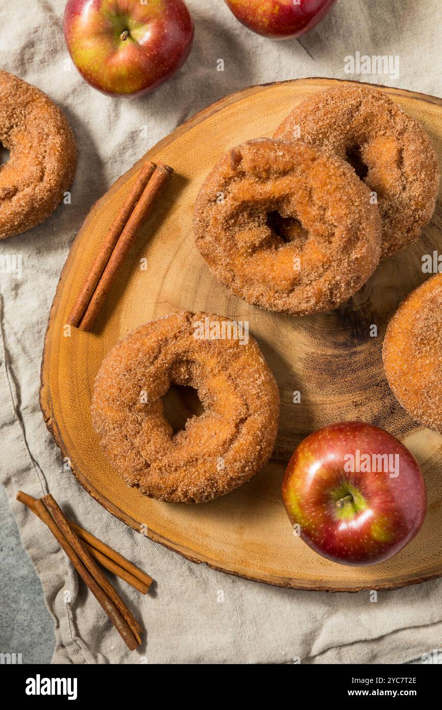 Hausgemachte süße Apfelwein-Donuts mit Zimt und Zucker Stockfoto