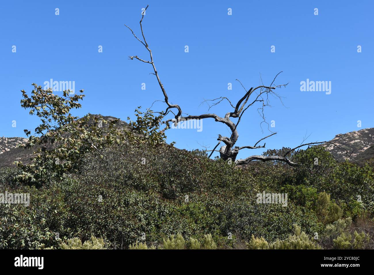 Iron Mountain Wanderweg Poway California. Der Wanderweg Iron Mountain in Poway, Kalifornien, verspricht Abenteurern eine Reise Stockfoto