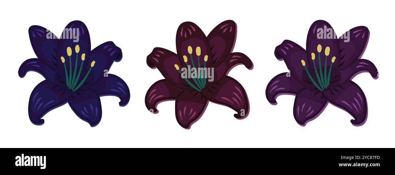 Drei dunkle Lilienblüten: Blau, burgunderrot, violett, vektorfarbene Illustrationen Stock Vektor