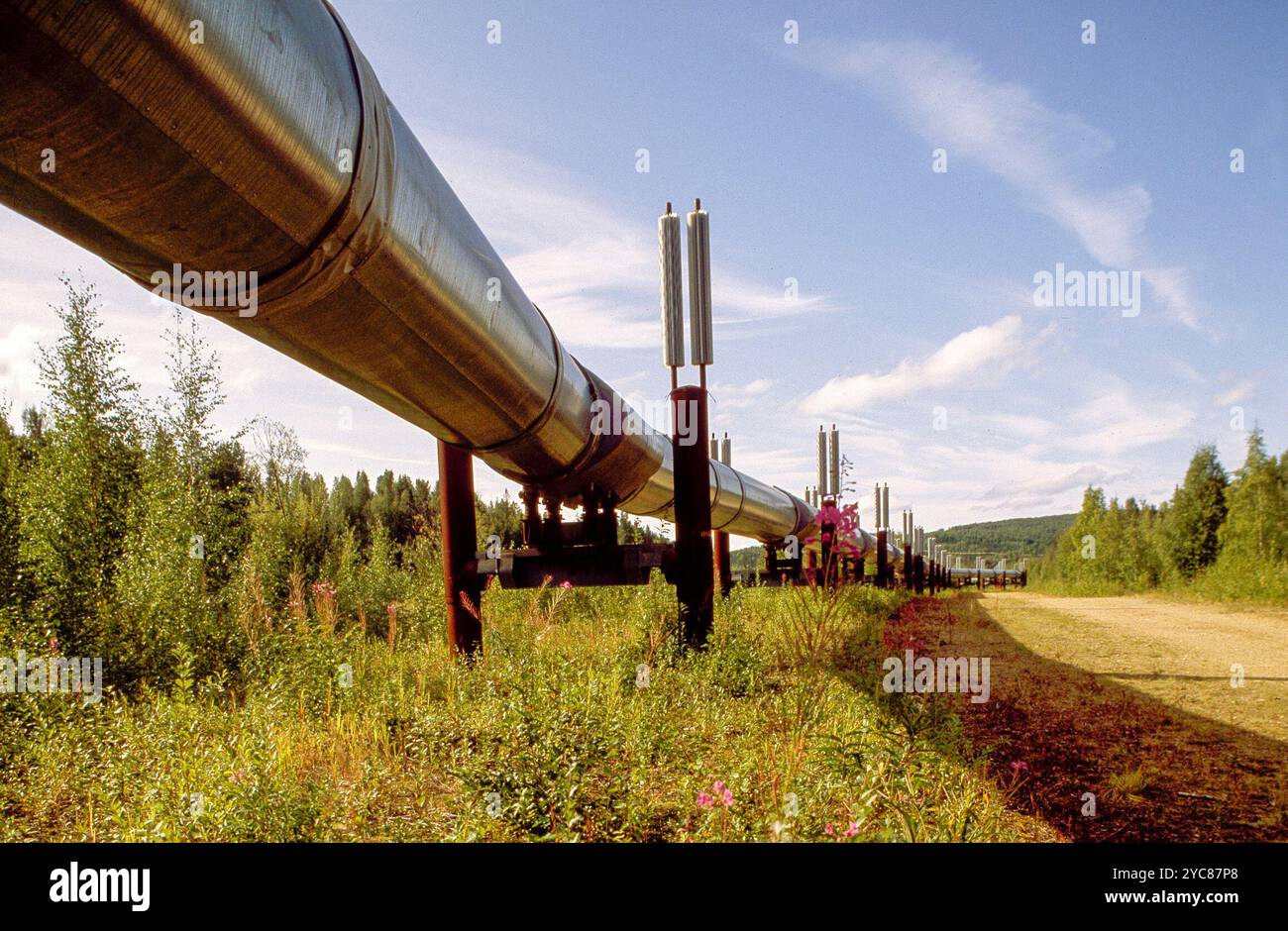 Die Alaska Pipeline, früher Trans-Alaska Pipeline System (TAPPS) genannt, wurde zwischen 1974 und 1977 gebaut und umfasst die Trans-Alaska-Rohöl-Pipeline, 12 Pumpstationen, mehrere hundert Meilen Feeder Pipelines und das Valdez Marine Terminal. TAPS ist eines der weltweit größten Pipelinesysteme. Sie wird allgemein als Alaska Pipeline, Trans-Alaska Pipeline oder Alyeska Pipeline bezeichnet, aber technisch gesehen gelten diese Begriffe nur für die 800 Meilen (1.287 km) der Pipeline, die Öl von Prudhoe Bay nach Valdez (Alaska) transportiert. Quelle: https://en.wikipedia.org/wiki/Trans-Alaska Pipeline Sy Stockfoto