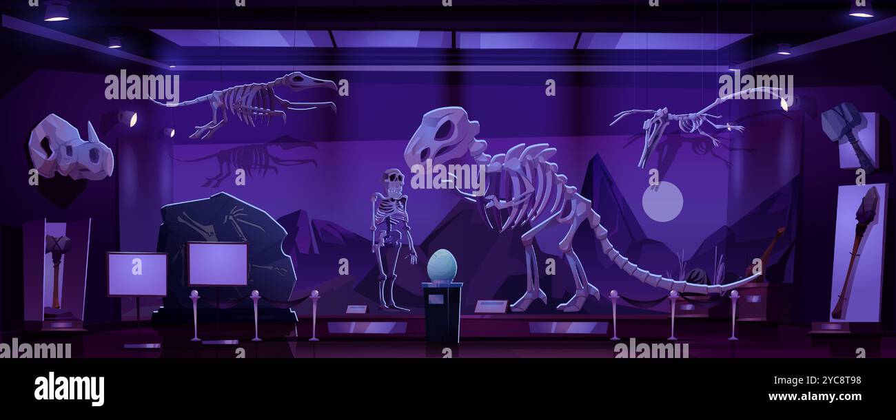 Museumsausstellung mit Dinosaurierskeletten und Artefakten unter violetter Beleuchtung bei Nacht. Archäologische Galerie mit Cartoon-Vektor mit großem Greifbein, Fossilien und Ei, prähistorischen Menschenwerkzeugen. Stock Vektor