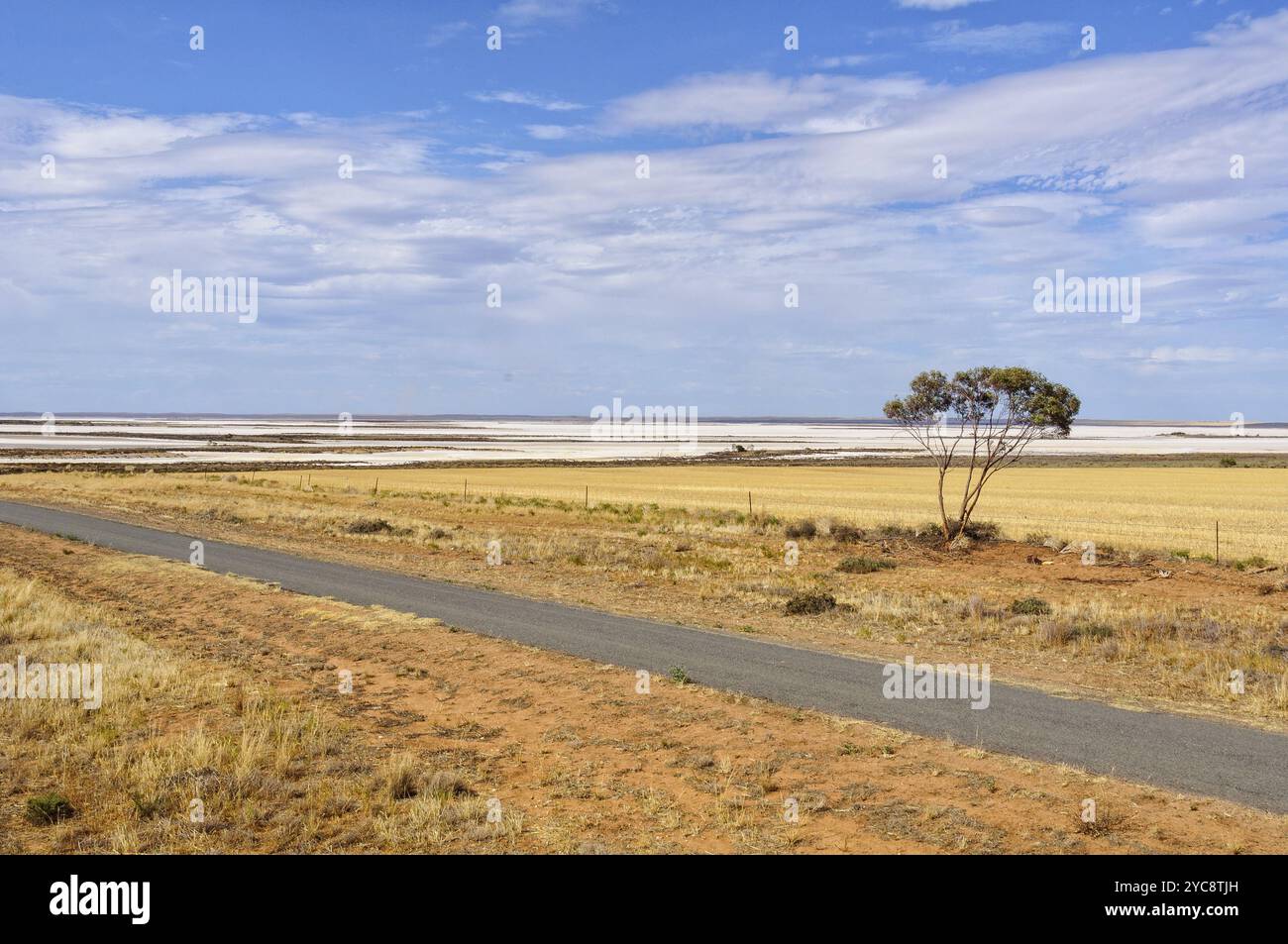Der Lake Tyrrell am Sea Lake ist der größte Salzsee in Victoria, Australien, Ozeanien Stockfoto