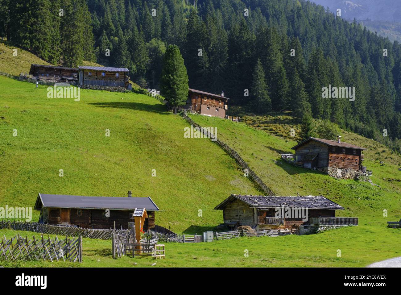 Helgas Alm, Valser Tal, Natura 2000 Valser Tal, Wipptal, Tirol, Österreich, Europa Stockfoto