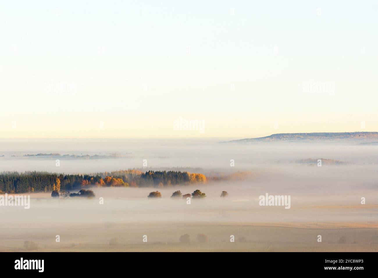 Morgennebel über der Ebene mit einem Wald mit Herbstfarben Stockfoto