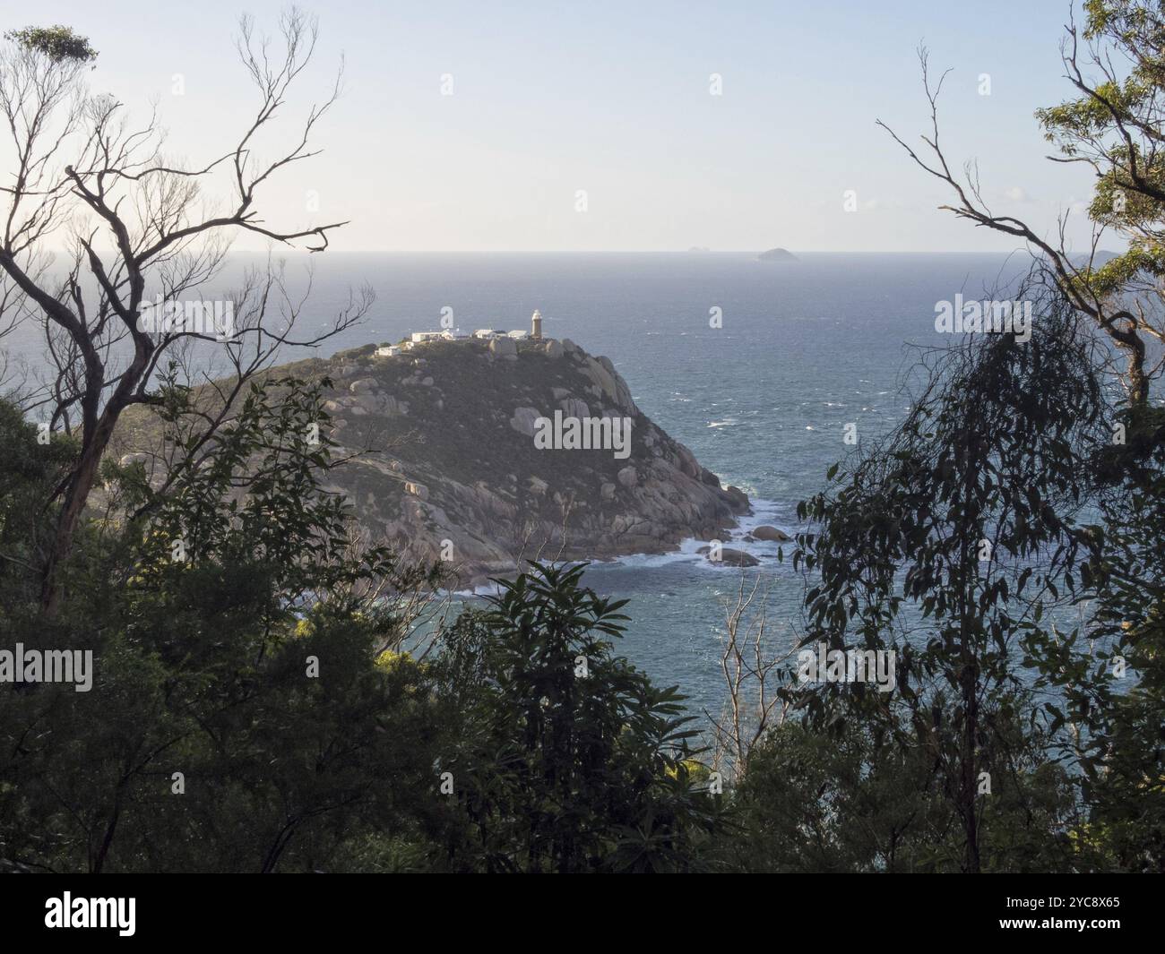 Letzter Blick auf den Leuchtturm vom SE-Wanderweg in Richtung Roaring Meg Campsite, Wilsons Promontory, Victoria, Australien, Ozeanien Stockfoto