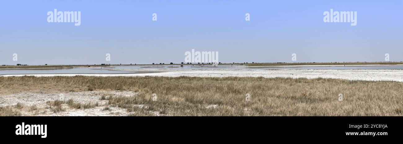 Panoramablick von der Nwetwe, Makgadikgadi Pan in Botsuana Stockfoto