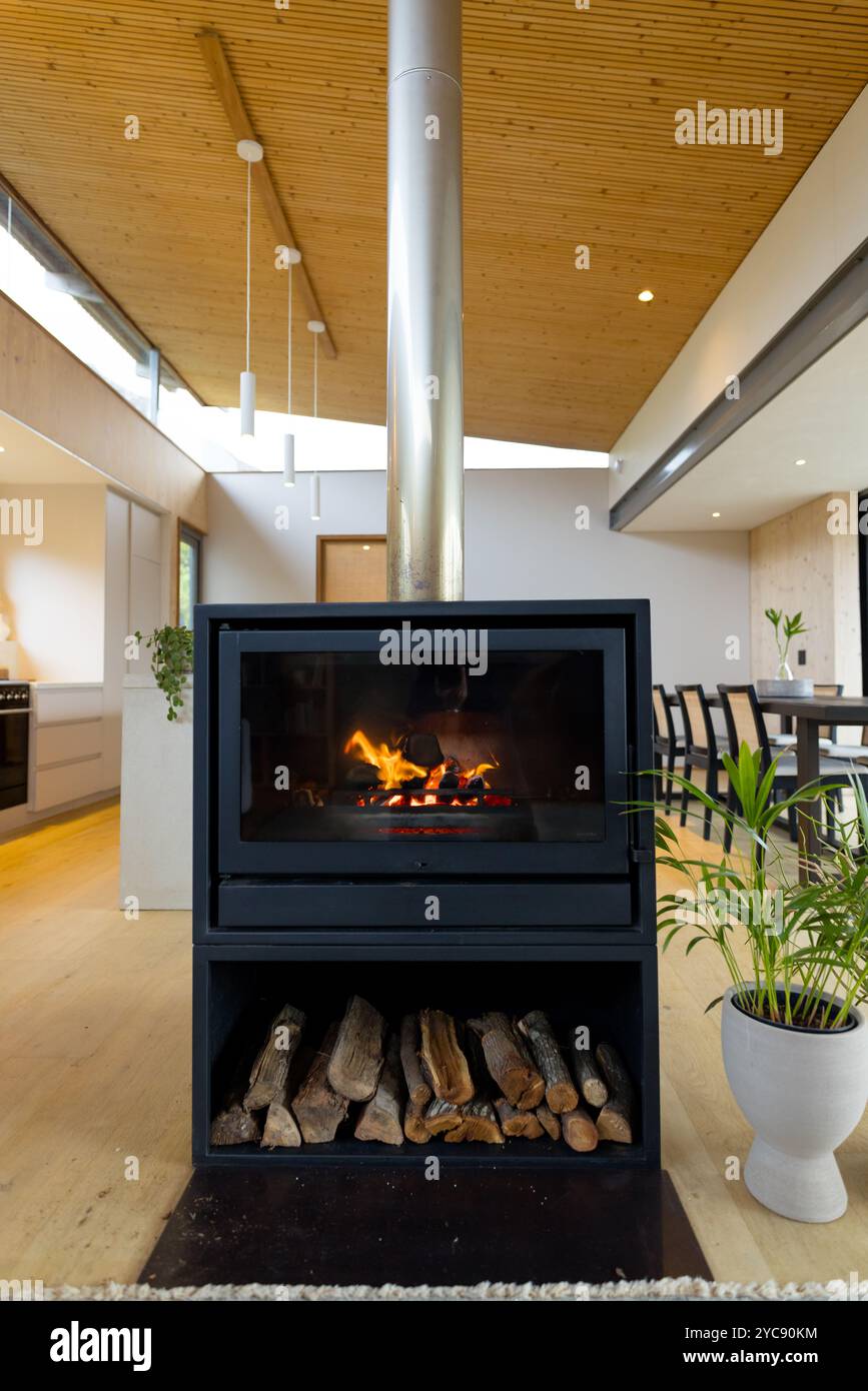 Gemütlicher Kamin wärmt modernes Wohnzimmer mit gestapeltem Brennholz und Pflanzen, zu Hause Stockfoto