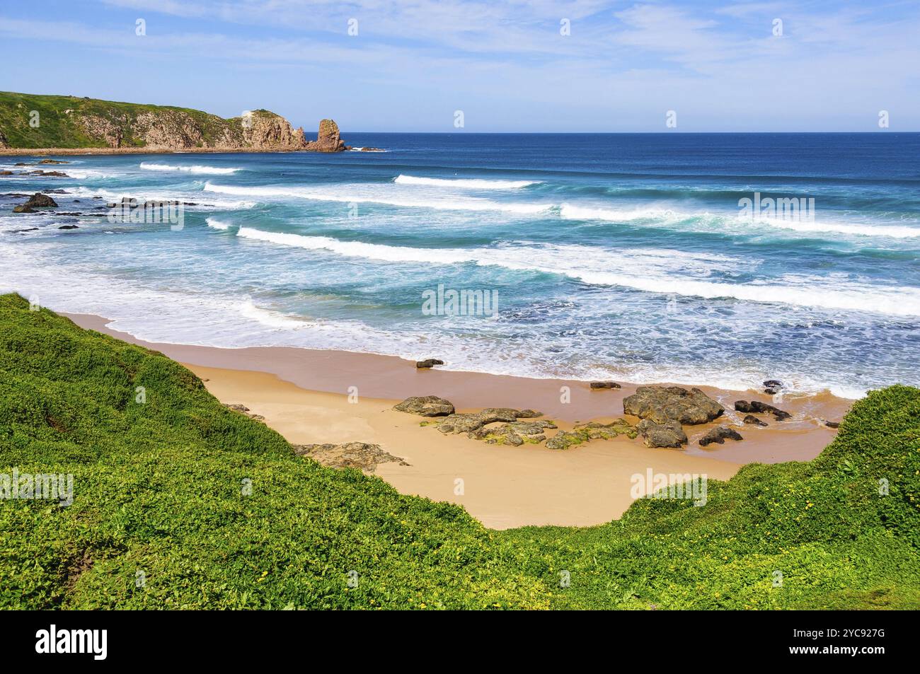 Herrliches Panorama von den Klippen entlang des Cape WoolAkamai Walks, Phillip Island, Victoria, Australien, Ozeanien Stockfoto