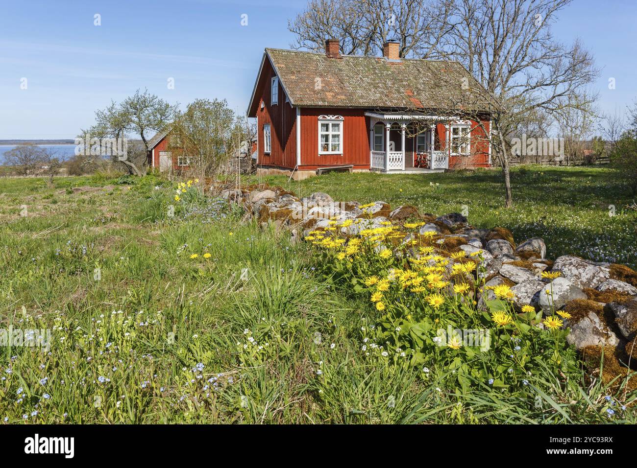 Blühende Frühlingsblumen an einer Steinmauer im Garten Mit einem idyllischen Ferienhaus Stockfoto