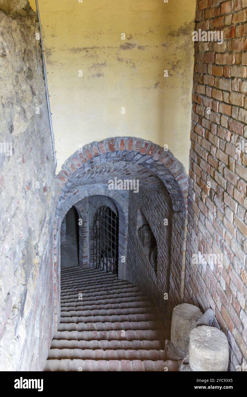 Alte Treppe hinunter in einen Keller Stockfoto