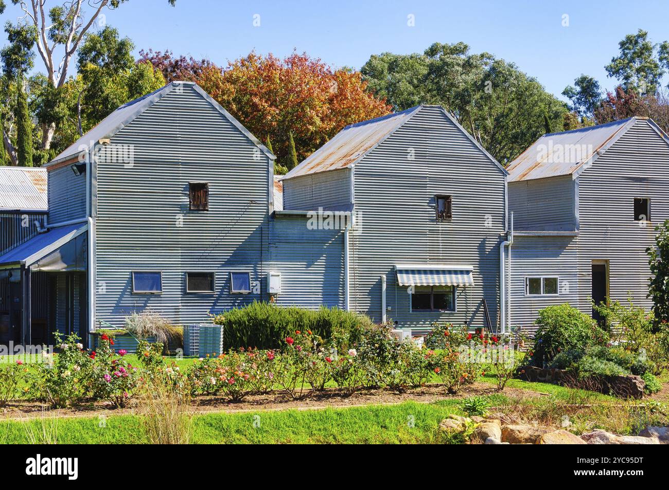 Pizzini Wines King Valley ist ein weiteres Familienunternehmen in der Region Little Italy in Victoria, Whitfield, Victoria, Australien, Ozeanien Stockfoto