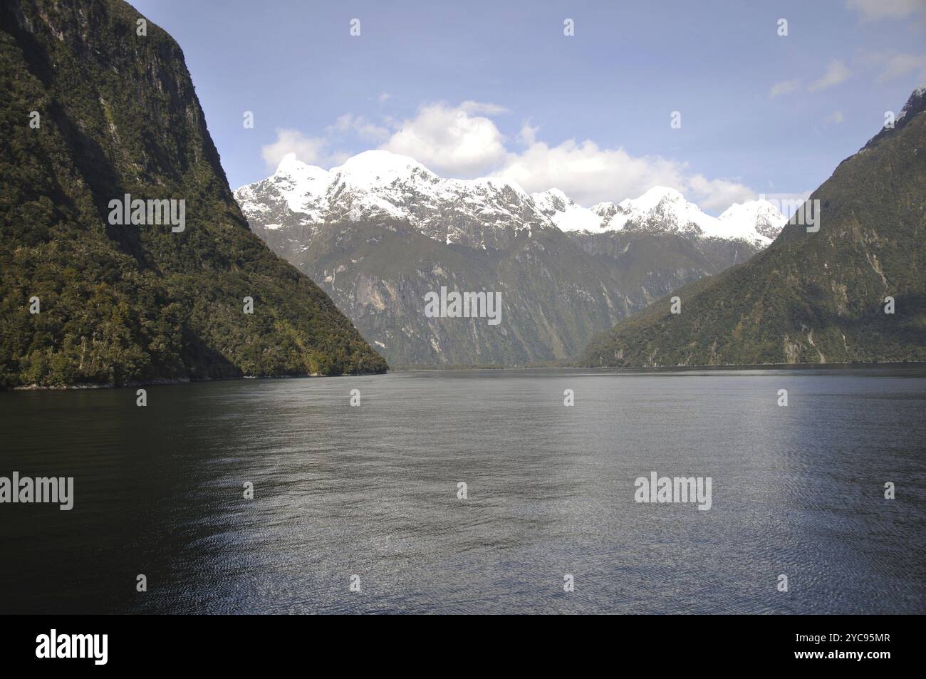 Östliches Ende des Milford Sound, Fiordland, Neuseeland, Ozeanien Stockfoto