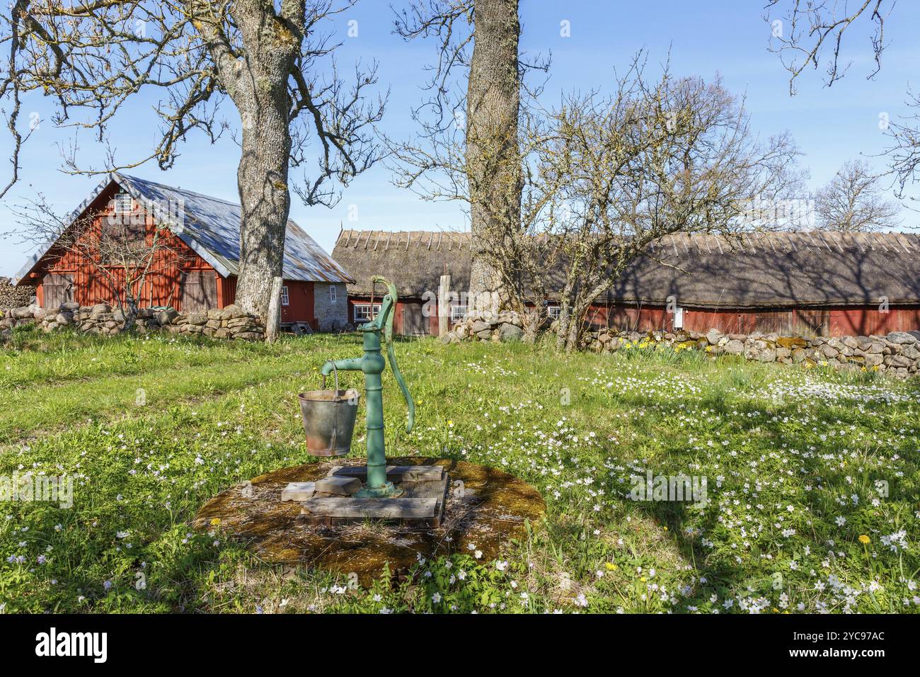 Wasserpumpe mit einem Eimer in einem Bauerngarten und Blühende Frühlingsblumen Stockfoto