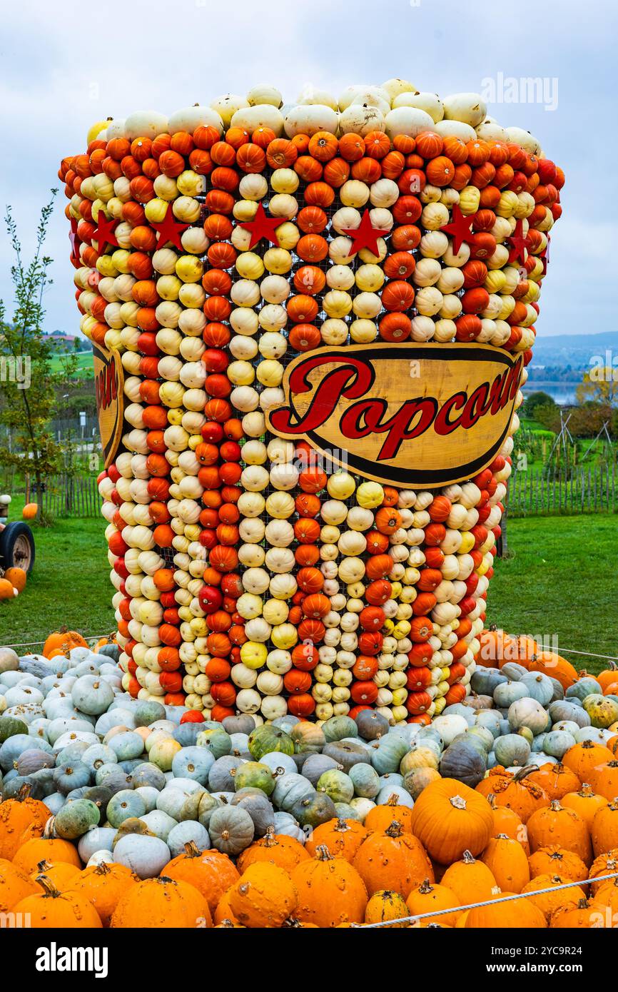 Ein großer, kürbisförmiger Behälter mit einem Schild, auf dem Popcorn steht. Der Behälter ist mit verschiedenfarbigen Kürbissen gefüllt Stockfoto