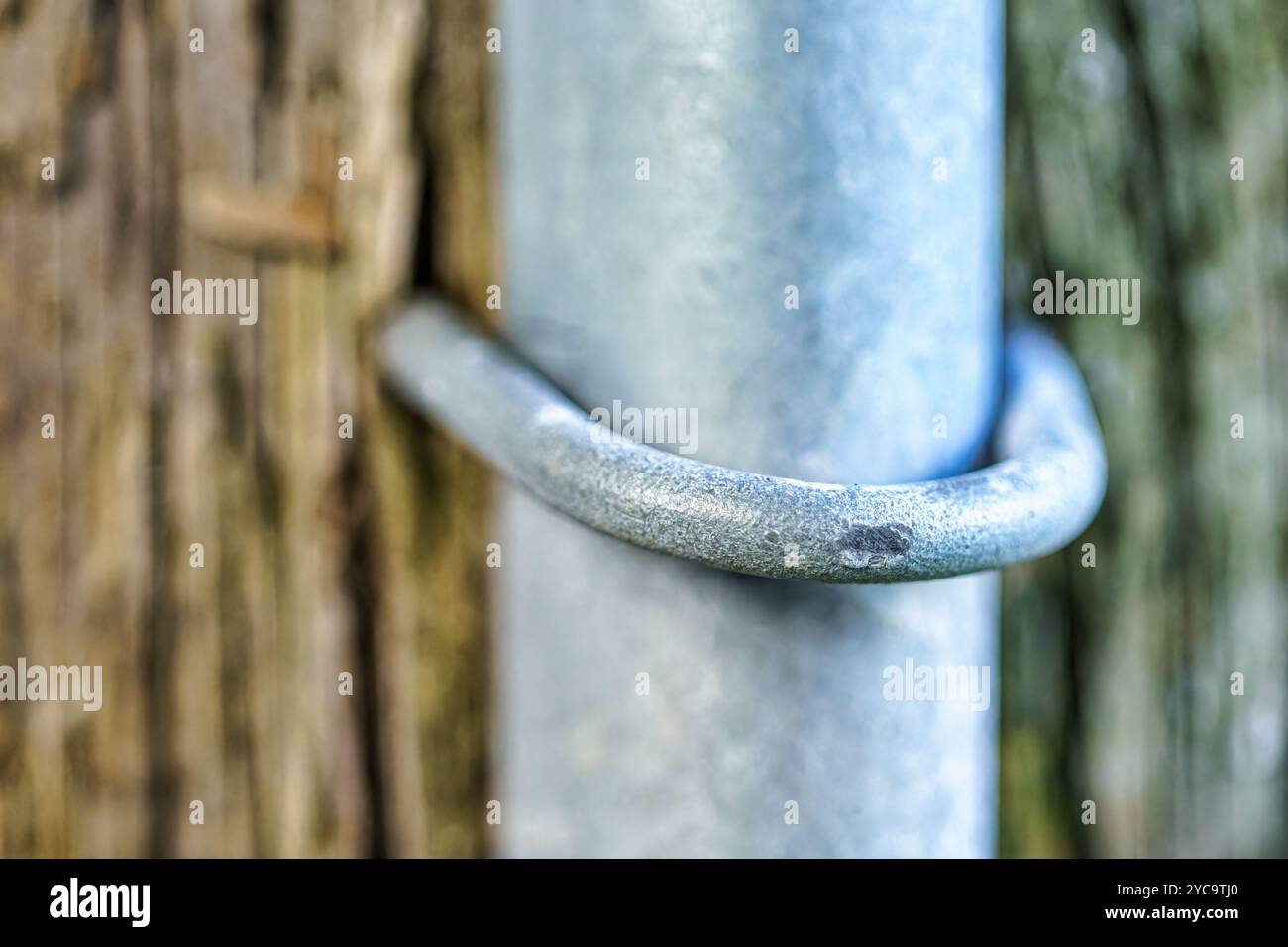 U-förmiger Metallbolzen, der ein Rohr an einem Holzmast hält. Stockfoto