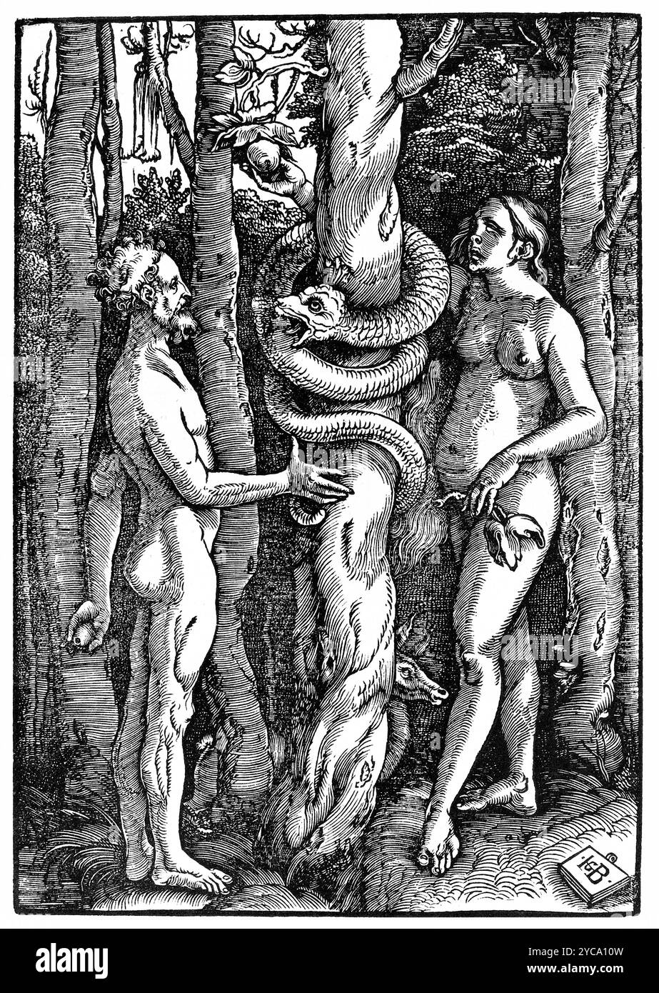 Hans Baldung Grien, Adam und Eva mit Schlange, 1514 - farbkorrigiert Stockfoto