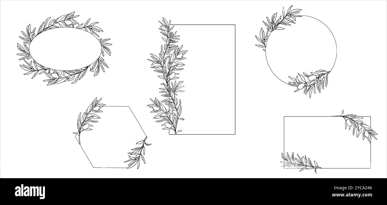 Set aus Olivenrahmen und Kränzen mit isolierten Olivenzweigen. Hand gezeichnet Schwarz und weiß Vektor-Illustration für Hochzeit Schreibwaren, Einladungen, Speichern Stock Vektor