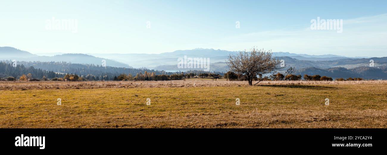 Wunderschöne herbstliche Berglandschaft. Blick auf den Czorsztyńskie-See und die Tatra. Ein einsamer Baum im Vordergrund. Blickpunkt. Czorsztyn, Polen Stockfoto